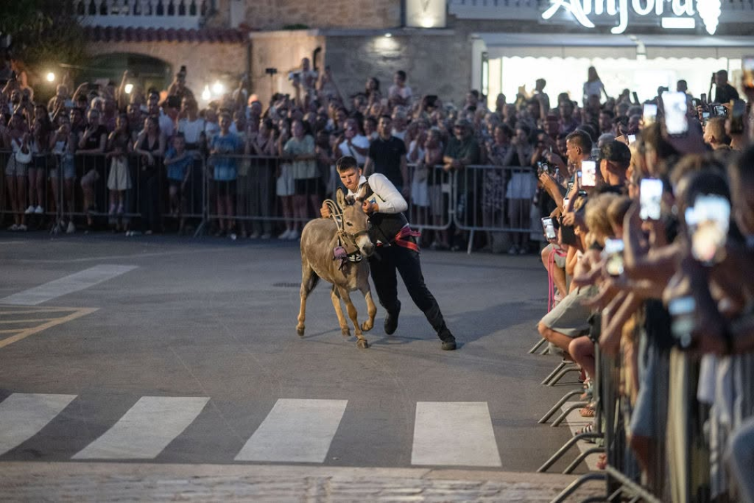 59. Tribunjske magareće trke