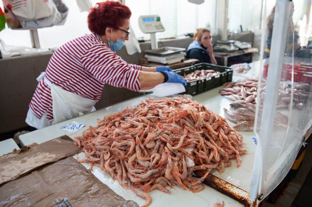 Đir po ribarnici na Veliki petak: 'Uvik je na današnji dan bila gužva, čekalo se u redu za uć po dobru ribu, a vidi sad, ništa'