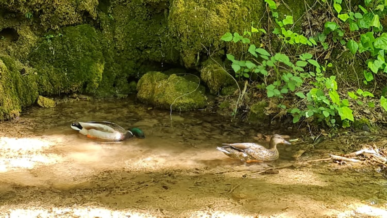 Proveli smo Majčin dan na Skradinskom buku uz ljepote Majke prirode