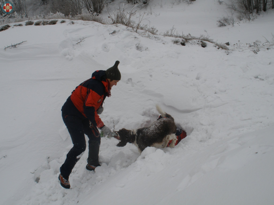 Uginula je Aki, potražni pas GSS-a: U svojoj je karijeri pronašla četvero ljudi, a uz Vodičanku Blanku Lučić bila je 13 godina