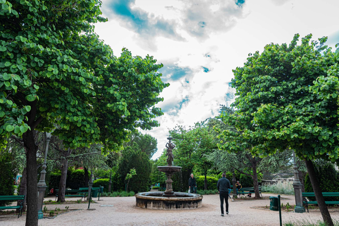 Zeleni grad u đardinu postavio edukativne table: Stabla na rivi i Poljani tretirali protiv nametnika 