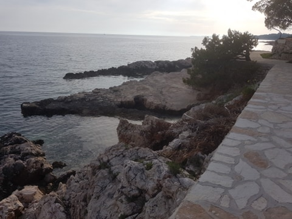 Nadležni nas uvjeravaju da su ovakvi prizori iz Primoštena rezultat cvjetanja mora 