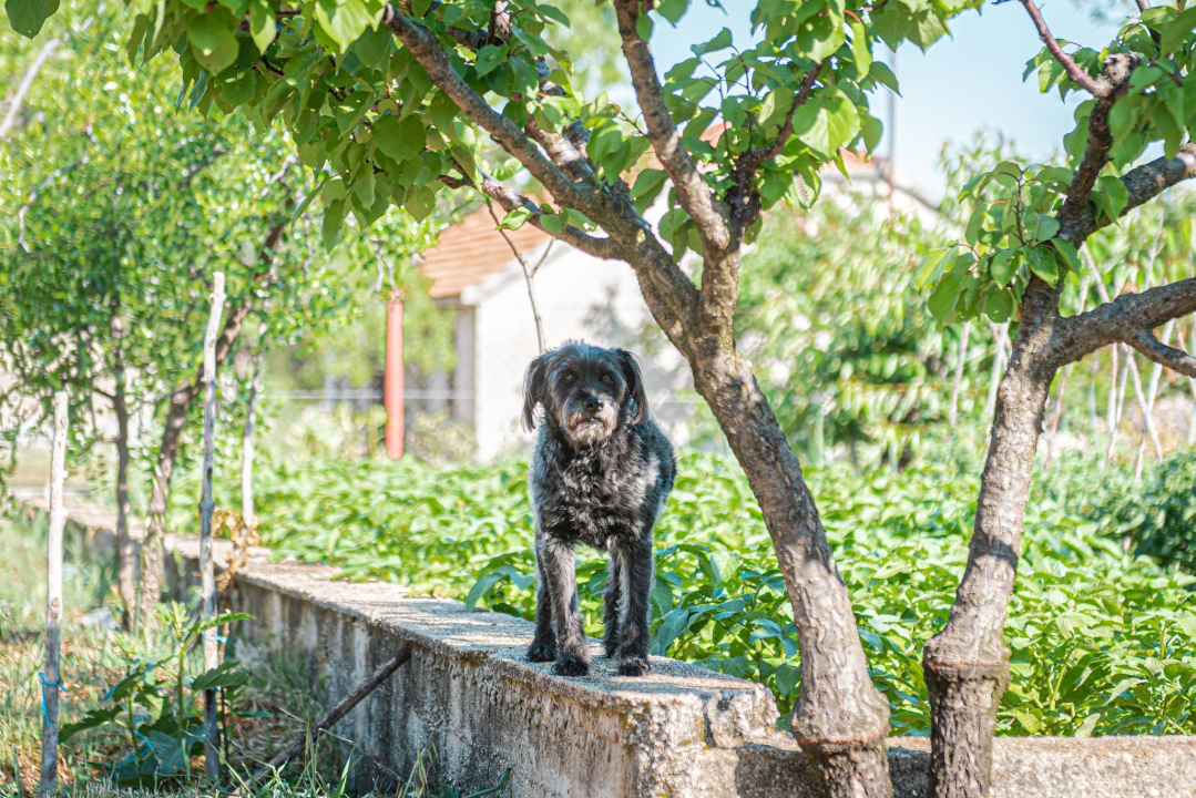Reportaža iz epicentra: 'Doživio sam i dosad potrese, ali nikad ovako jak. Ne možeš na ovo biti spreman' 