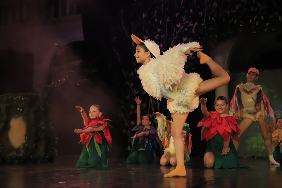 Balet na Ljetnoj: 'Smračilo mi se, ali na kraju je ispalo bolje nego išta'