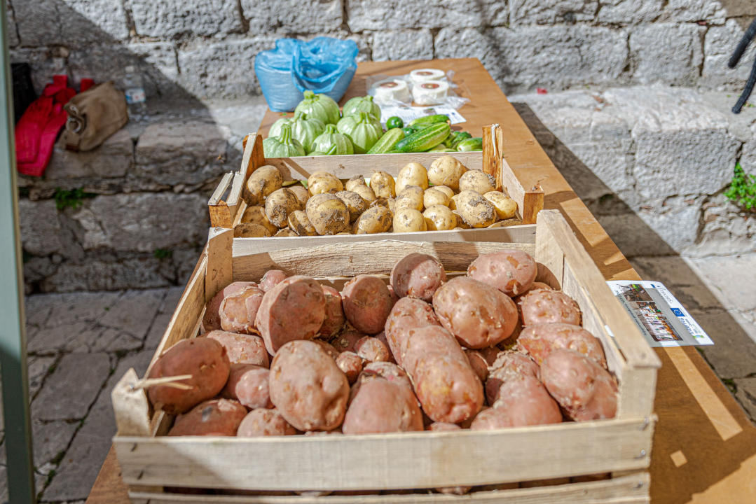 Mala loža u novom ruhu: Provjerite ponudu lokalnih OPG-ova na Zelenoj tržnici!