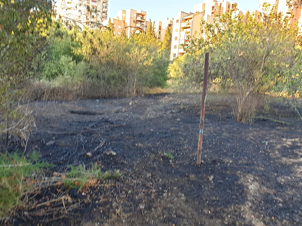 Ugašen je požar koji je buknuo kod Rasadnika na Vidicima: Na intervenciju izašle tri vatrogasne ekipe 