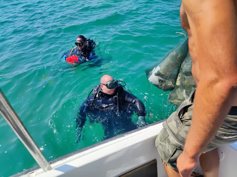 Volonteri izvadili hrpe smeća iz mora u Pirovcu: Morski konjic posebno je obradovao ronioce