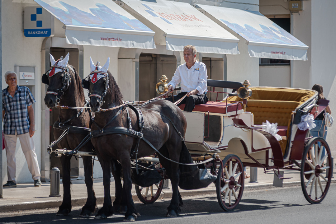 Vjenčanje na belgijski način: Dvije frizijske kobile kaskale centrom grada i rivom  