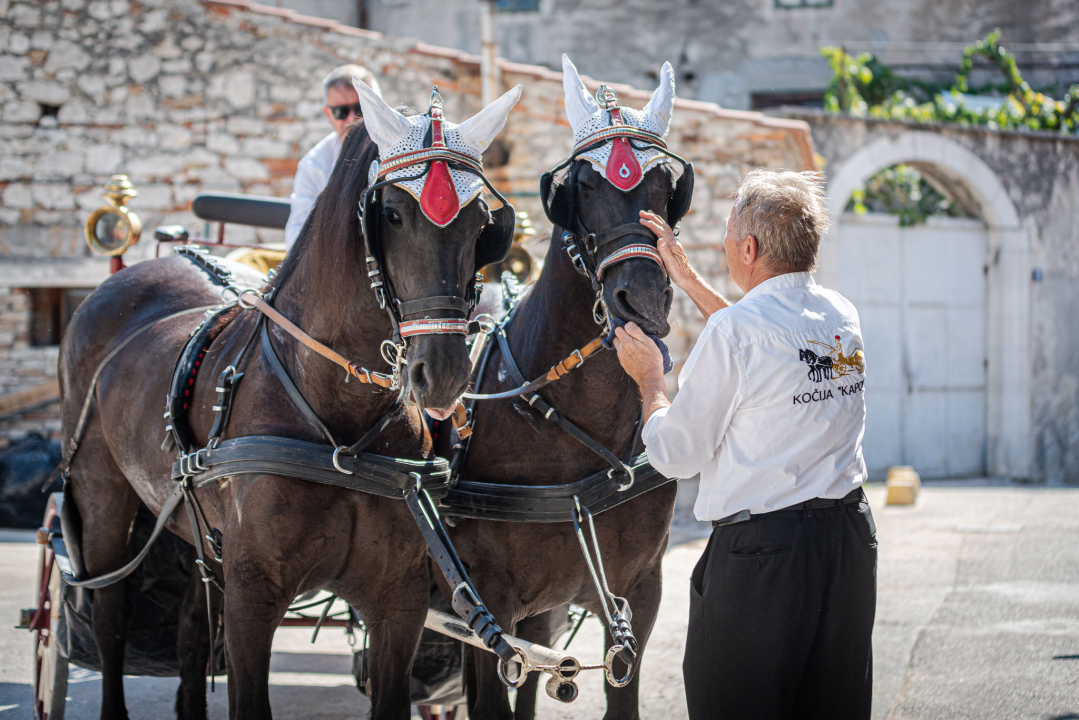 Vjenčanje na belgijski način: Dvije frizijske kobile kaskale centrom grada i rivom  