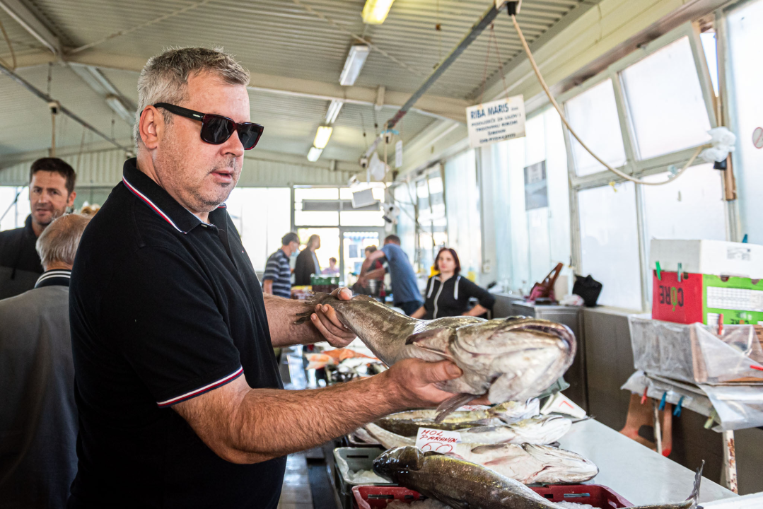 Od ogromnih kokota i mola sa šibenske peškarije dalo bi se skuhati juhu za omanji bataljun  