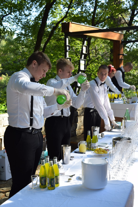 Šibenski srednjoškolci na Skradinskom buku predstavili koktel 'Tekući smaragd'