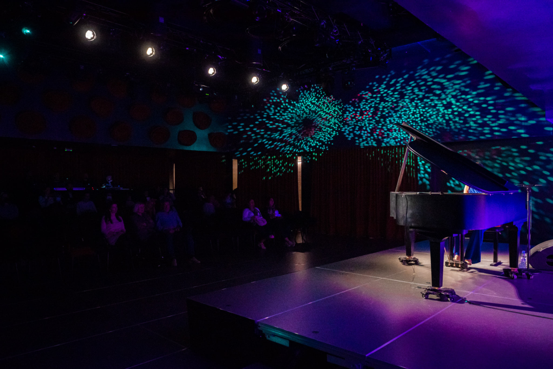 Ljubitelji jazza došli na svoje u Kući umjetnosti Arsen: Pogledajte kako je bilo na koncertu Lane Janjanin  