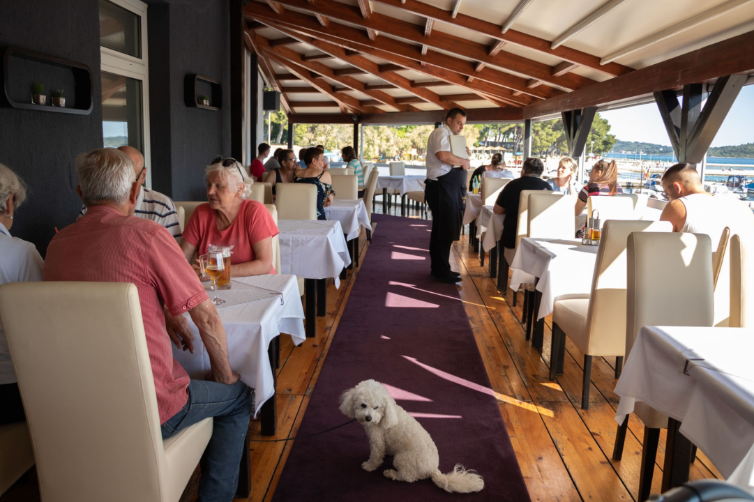 Vodički restoran Scala prava je gastro oaza: Ugrijte se njihovim domaćim jelima! 