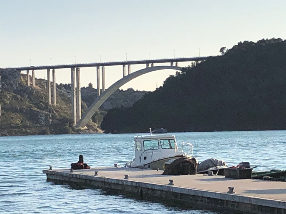 Udruga Titius Lozovac upozorava na povećan pomor ribe u Krki: 'Sve se preklapa s izvođenjem radova na plaži u Skradinu' 