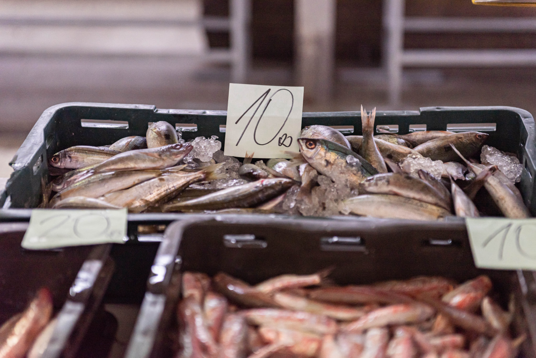 Ponuda ribe na peškariji u skladu s tmurnim danom: Ipak, za 50 kuna može se kupiti pet kila ribe, a ima i štriguna