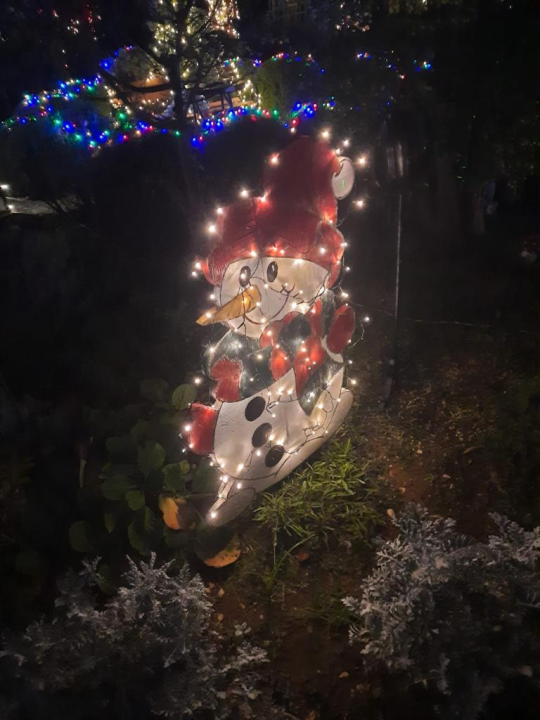 Krenula je božićna bajka: 20 tisuća lampica obasjalo je vrt obitelji Vlahov 