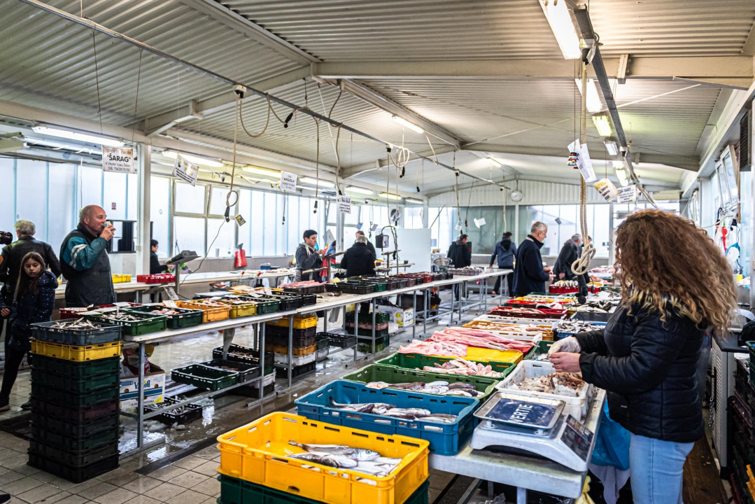 Na Badnji dan i nije neka ponuda na peškariji, Šibenčani su se za ove blagane izgleda pripremili ranije 
