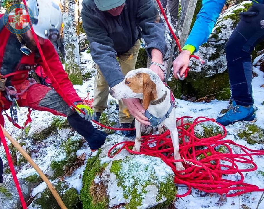 Sretan kraj! Hrvatski GSS-ovci spasili promrzlog i izgladnjelog psića iz jame duboke osam metara