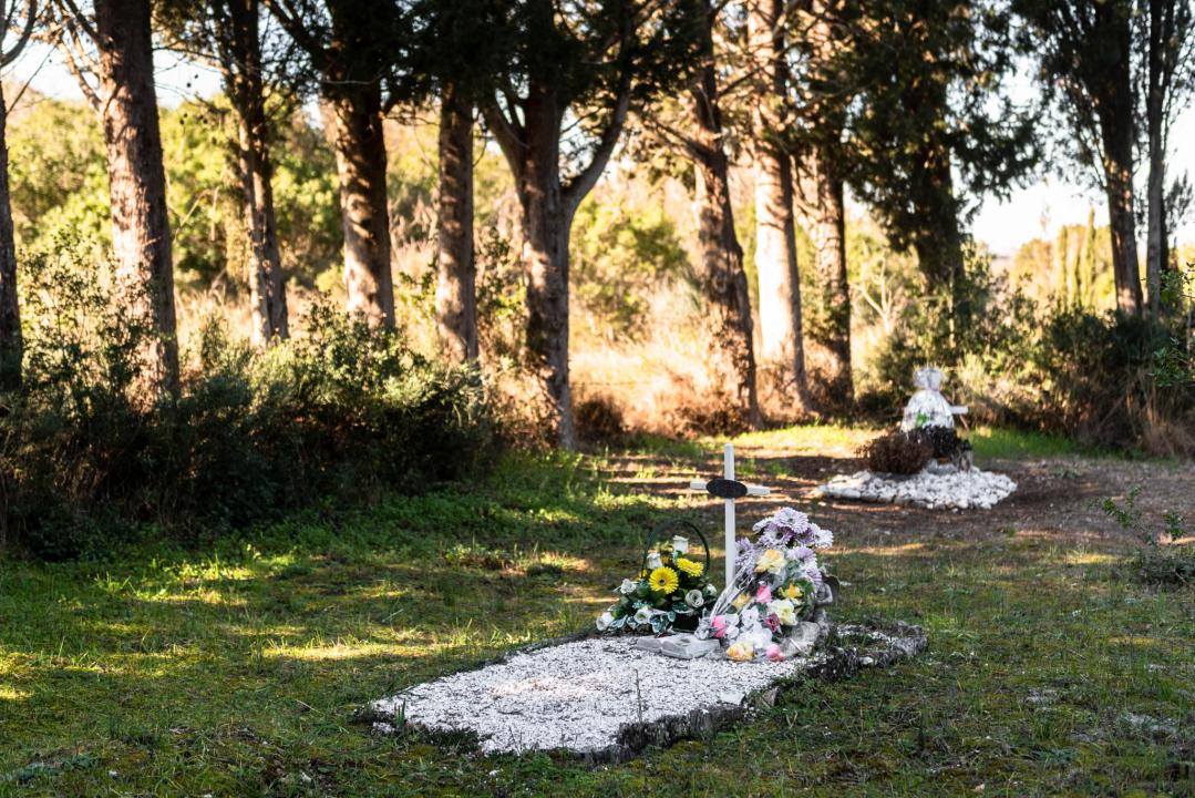 'To groblje je poput Pandorine kutije, bila je i njemačka krim policija': Na Raskrižju su posljednje počivalište našli i partizani i fašisti