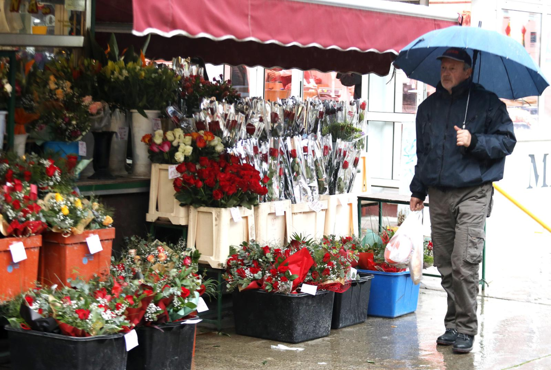 Od jutros gužve u cvjećarnama: Šibenčani vole klasiku, za Valentinovo najviše kupuju crvene ruže 