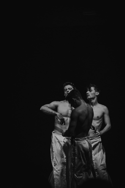 'Boys Boys Boys' sinoć u Arsenu: Šibenčanke uživale u ekspresivnom muškom plesu 