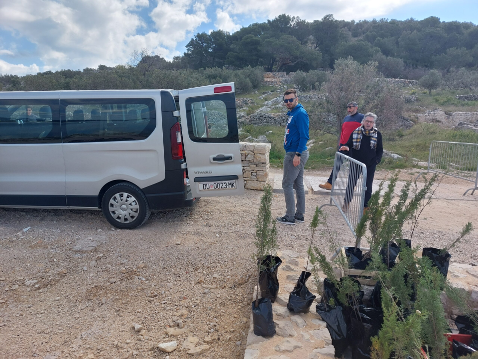 Na arheološkoj plaži Colentum u Murteru zasađeni autohtoni čempresi iz Konavla
