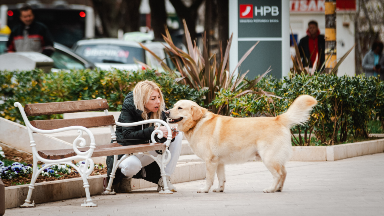 Alternativni Đir po gradu: Ove fotografije neće završiti u modnim listama, ali pokazuju šibensku svakodnevicu