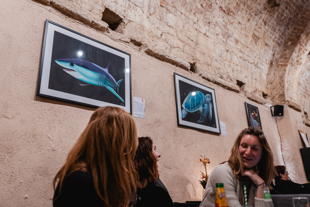 'Fallitur Visus – Izgled vara': Zaštićene životinjske vrste Ive Sabljić Martinović na izložbi u Azimutu 