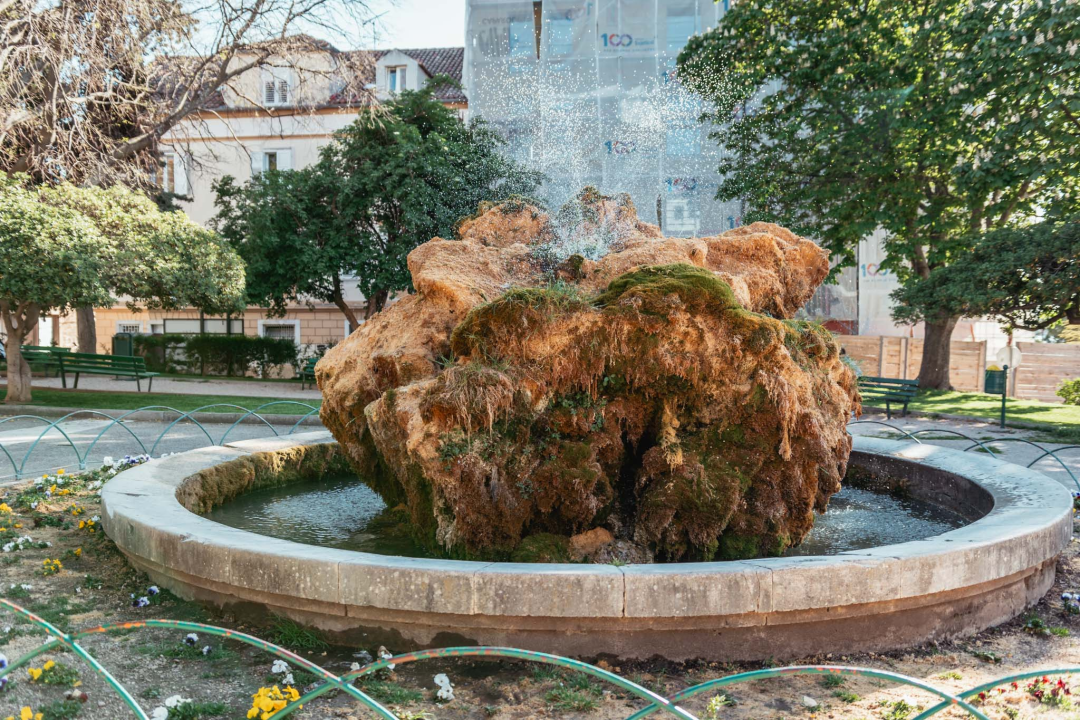 Kako je sedra narasla više od tri metra: Fotografije posljednjih šest godina pokazuju zašto joj treba spas