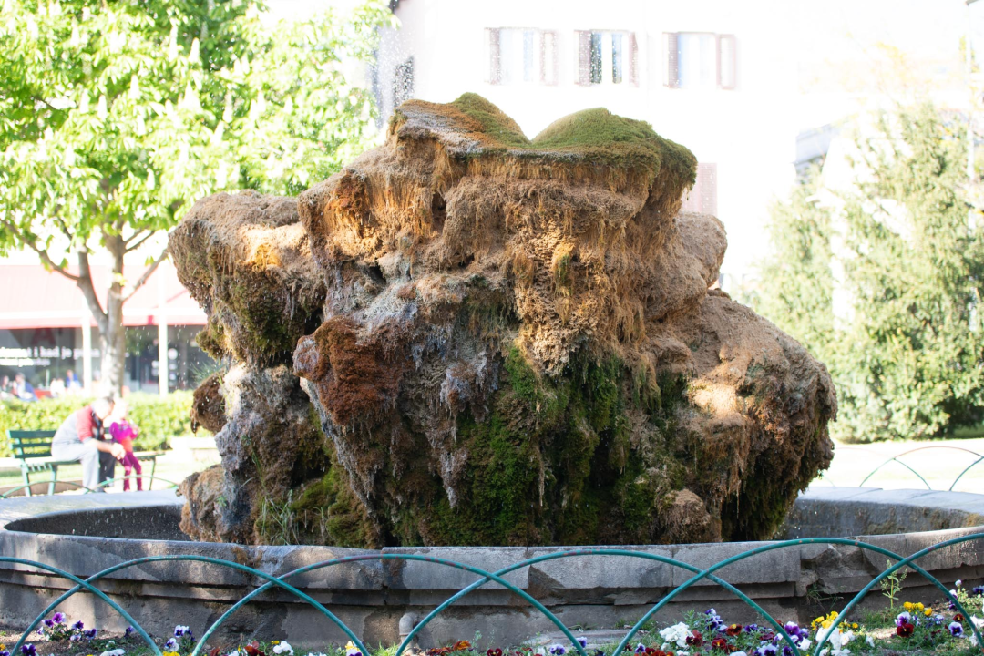 Kako je sedra narasla više od tri metra: Fotografije posljednjih šest godina pokazuju zašto joj treba spas
