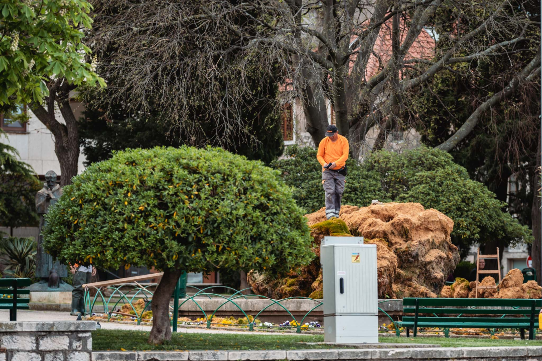 Uklonjen dio sedre kojemu je prijetilo urušavanje: Opet će zazeleniti, a kornjače dobivaju sunčalište