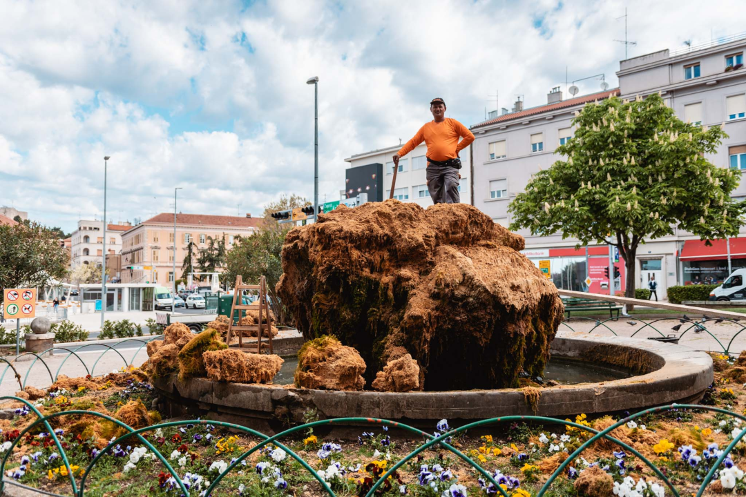 Uklonjen dio sedre kojemu je prijetilo urušavanje: Opet će zazeleniti, a kornjače dobivaju sunčalište