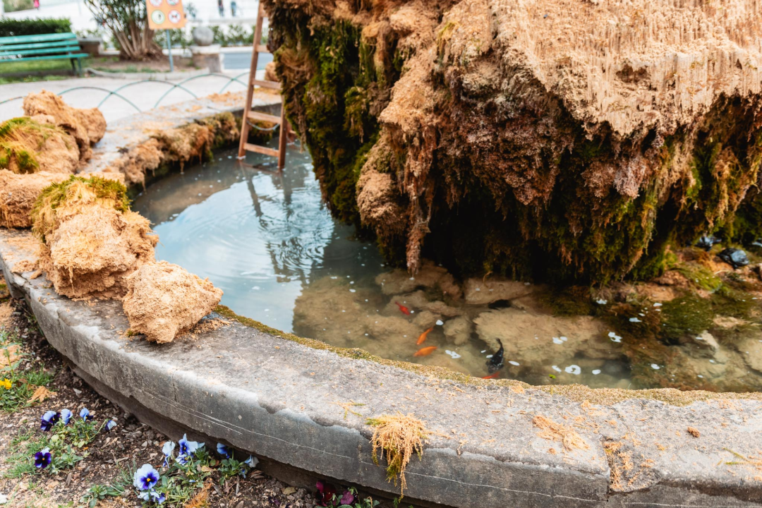 Uklonjen dio sedre kojemu je prijetilo urušavanje: Opet će zazeleniti, a kornjače dobivaju sunčalište