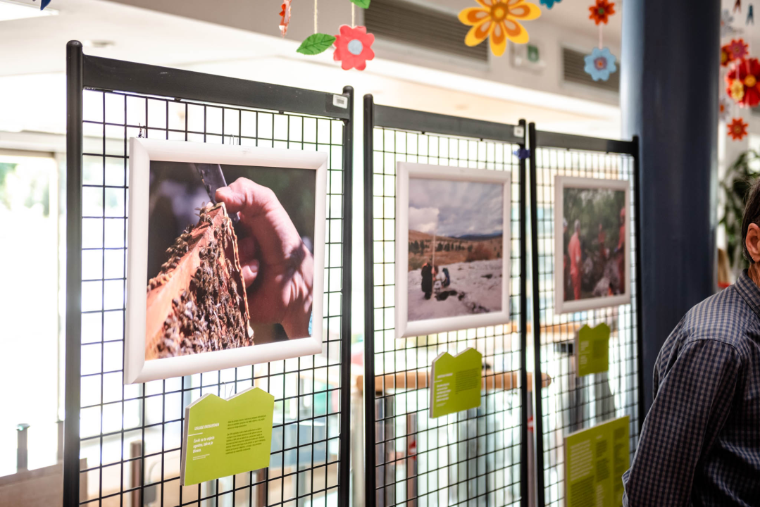 Dinara kao mjesto života i rada: 'Održivo korištenje prirode je temelj'