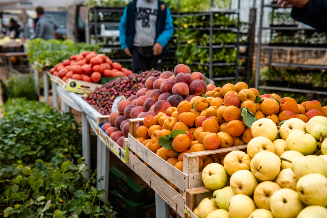 Bili smo na Benkovačkom sajmu: Najtraženija 'roba' su CD-evi Thompsona i Bulića, a za prasetinu se čeka red