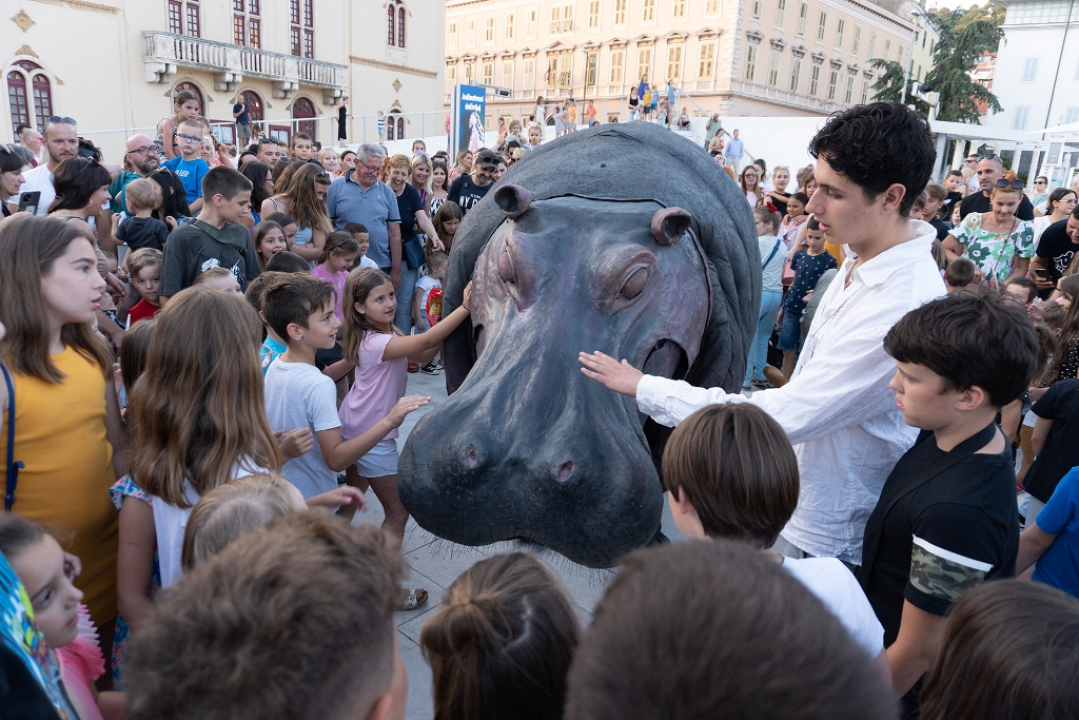 Žirafe, Carevo novo ruho, Las Calaveras: Šibenik ima najbolji prvi dan ljeta uz festivalski program