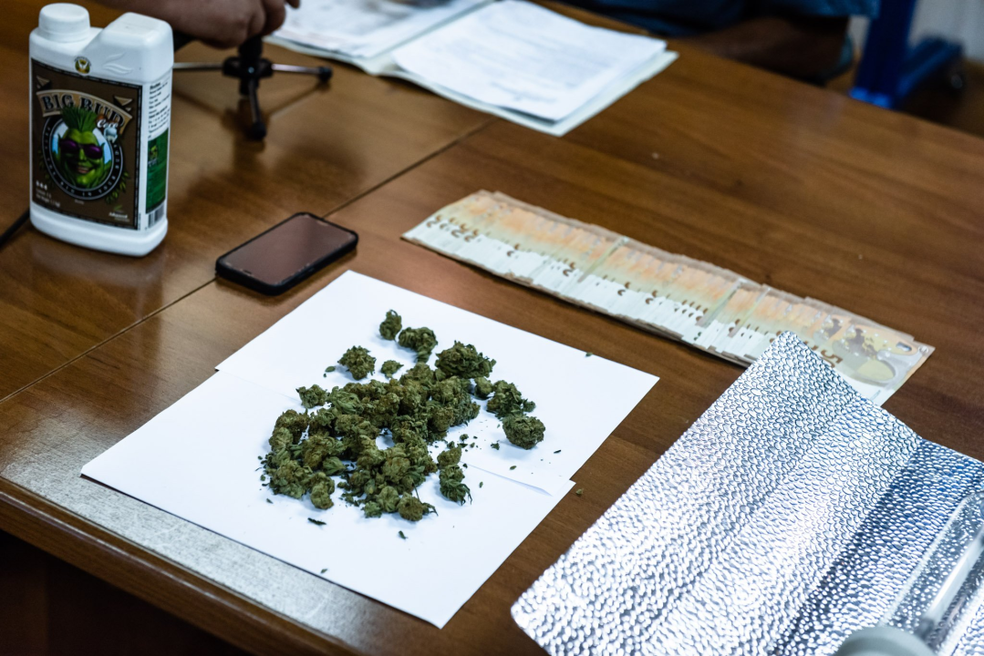 Pao vodički diler: U kući mu našli laboratorij, 500 kg stabljika kanabisa i 16 kg zapakirane marihuane 