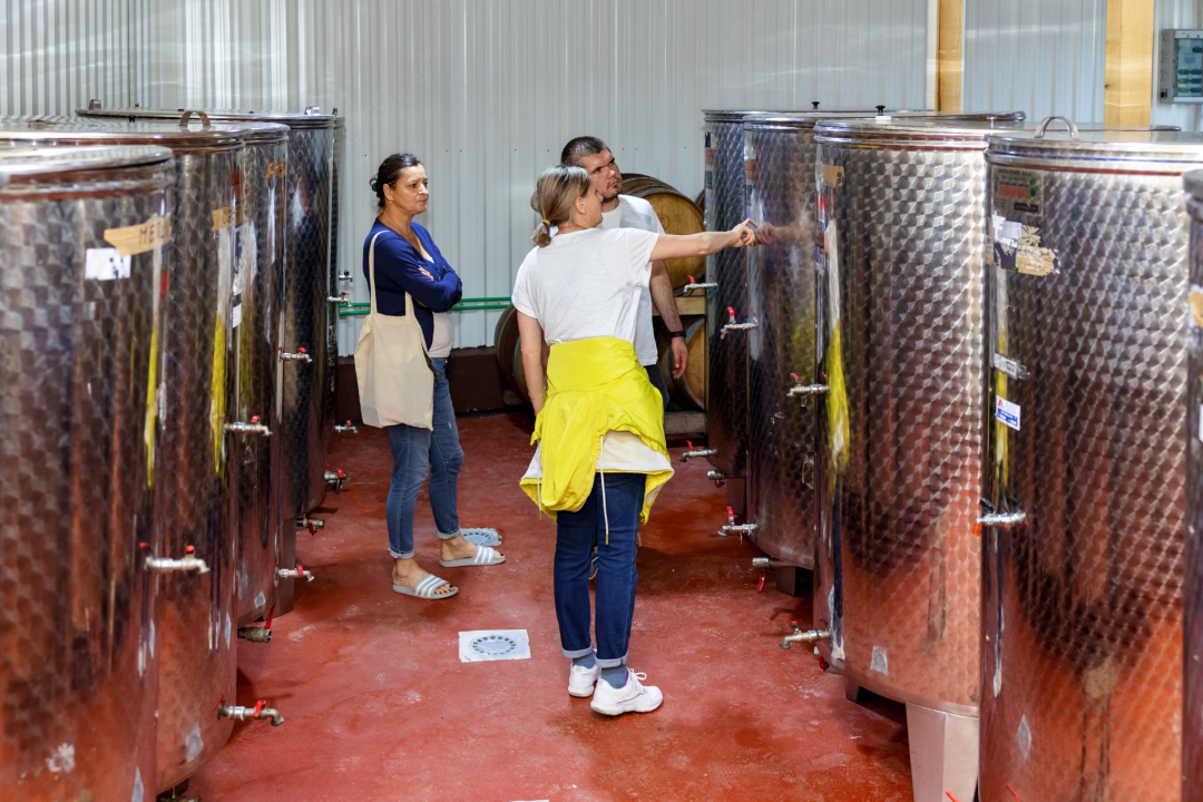 Studirajte na Veleučilištu 'Marko Marulić' u Kninu!