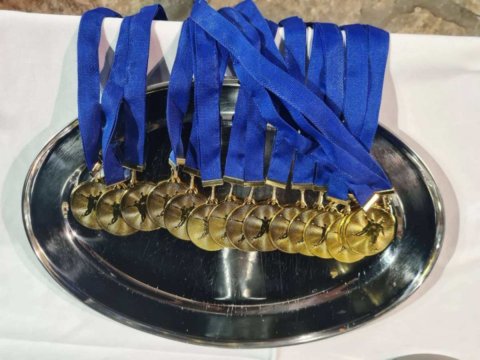 Šibenska Dubrava pobjednik turnira 'Budak 2022.', Niko Škugor najbolji igrač