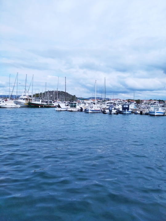 Počeli Dani latinskog idra u Murteru: 'U nedjelju je veliki dan!'