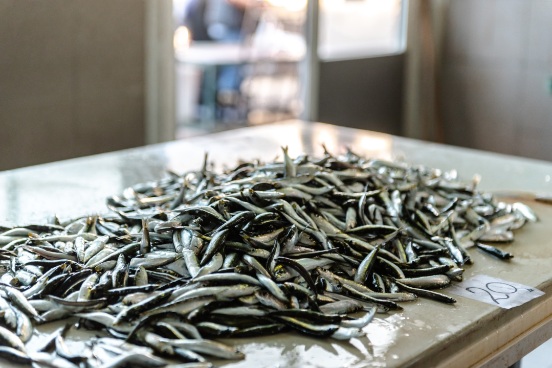 Kokot i moli samci s parangala odlična su ideja za ručak u petak: Jedini problem je što nisu baš jeftini 