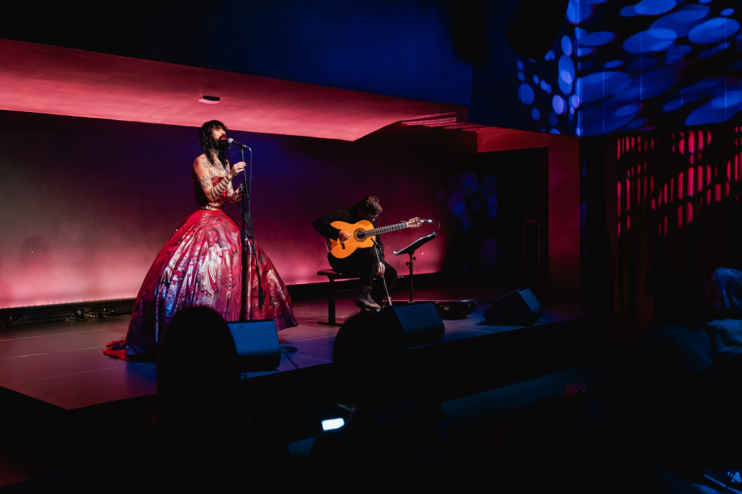 Vrećin glas, gitara i lutnja Edina Karamazova oduševili sinoć Šibenčane u Arsenu