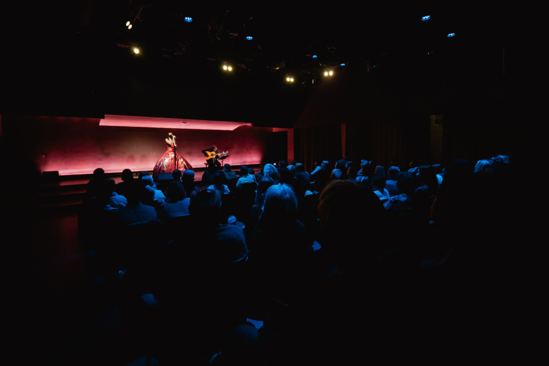 Vrećin glas, gitara i lutnja Edina Karamazova oduševili sinoć Šibenčane u Arsenu