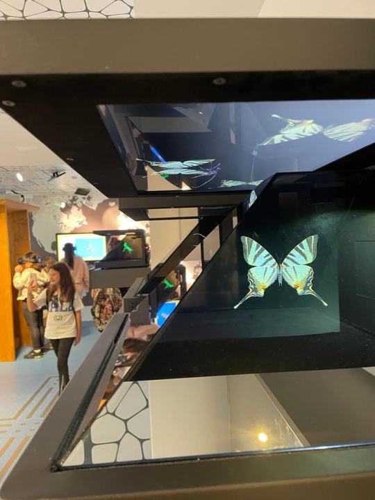 Tenisači sa Šubićevca u posjetu Eko kampusu „Krka&quot;