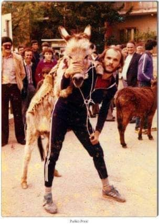 Paško je ljubav prema magarcima pretvorio u obiteljski posao: 'Kćer će mi biti dostojna zamjena na utrkama'