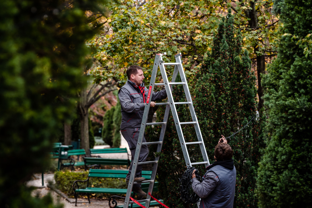 Brojimo sitno do najveselijih dana u godini: Počelo čišćenje i ukrašavanje Đardina  