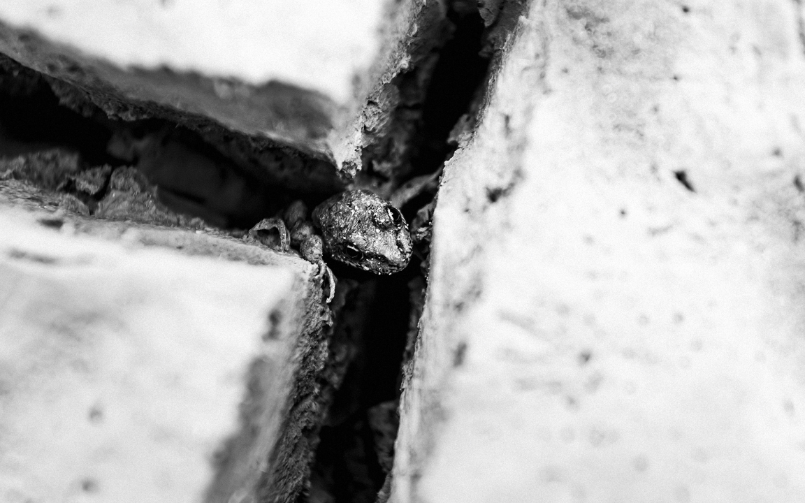 Nogometno rivalstvo traje već 79 godina: Okršaj Vukova i Vilenjaka na Modrom jezeru je spektakl!