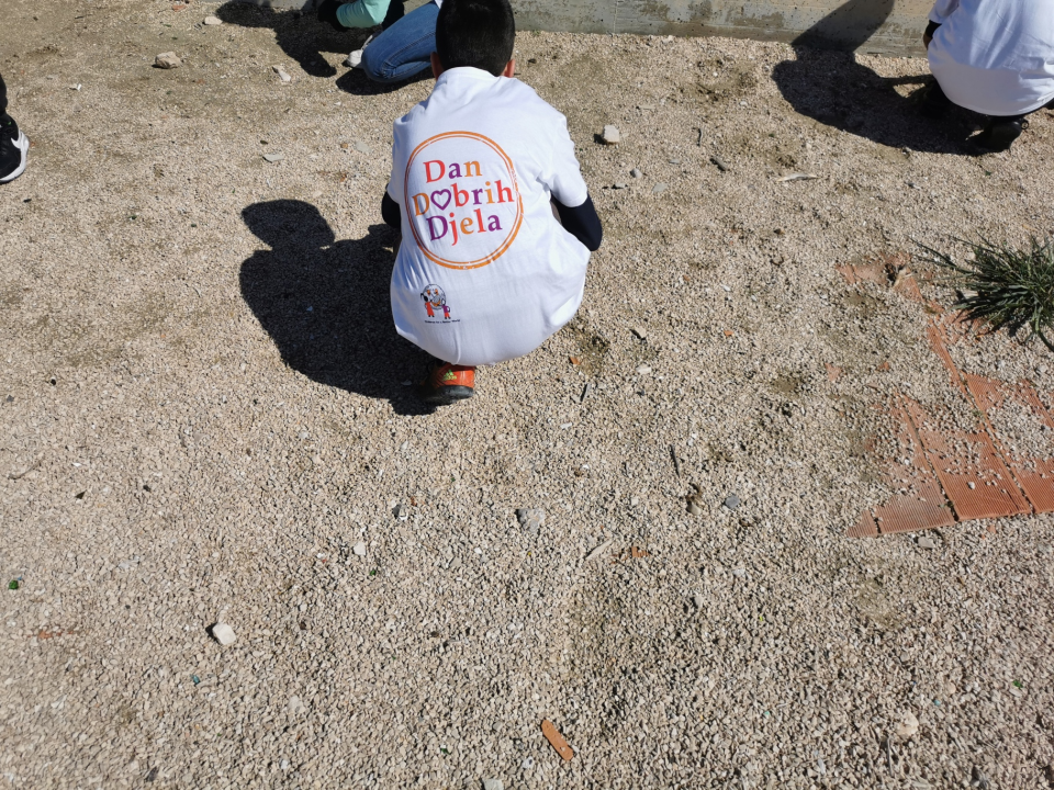 Koordinatorica volontera Sanja Barišić: 'Veseli me kada se vrate s pričom da napokon znaju s čim se žele baviti u životu'