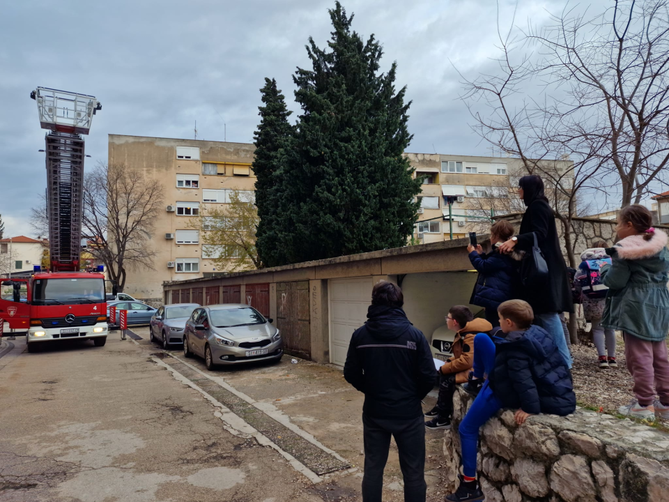 Vatrogasci sa čempresa na Baldekinu spasili macu: Na intervenciju stigli za desetak minuta