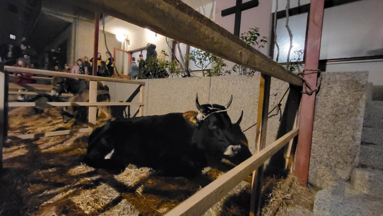 Župljani Vidika uprizorili žive jaslice i oduševili sugrađane